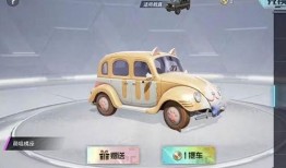 大转盘皮肤最新爆料车皮,车皮元素引领潮流