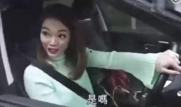 驻马店爆料出轨视频最新,一场婚姻的背叛与真相揭晓
