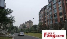 郑州花园路最新爆料电话,神秘电话揭开神秘面纱