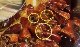 火锅店爆料视频大全最新,揭秘行业幕后真相