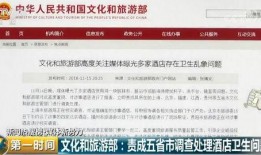 山东饭店爆料视频最新,揭露惊人内幕，真相令人震惊