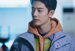 肖战代言人最新爆料,揭秘神秘爆料背后的精彩故事