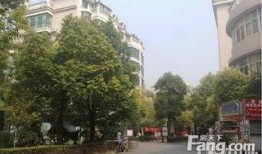 郑州花园路最新爆料电话,神秘电话揭开神秘面纱