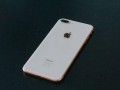 iPhone SEplus 最新爆料,性能升级，设计革新，价格揭晓！