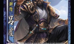 三国杀51最新爆料大全,揭秘全新角色与策略变革